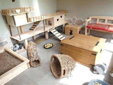 How To Design A Rabbit Play Area These Ideas Will Inspire You Houses
