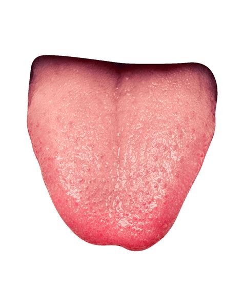 Tongue Png Image