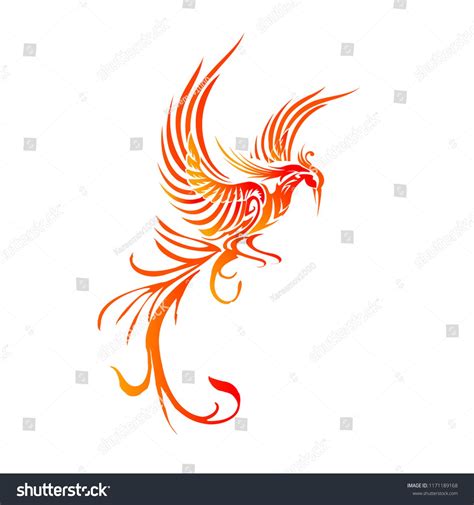 phoenix vector tattoophoenix#vector#tattoo | Phoenix vector, Phoenix drawing, Vector