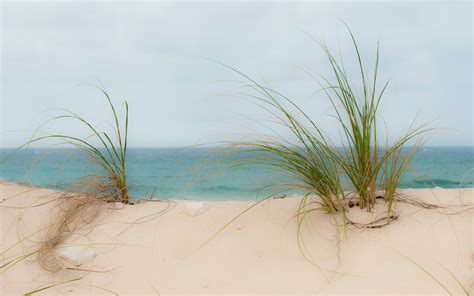 Wallpaper Ocean Beach Grass Sand Pebbles Nassaubahamas 2828x1768