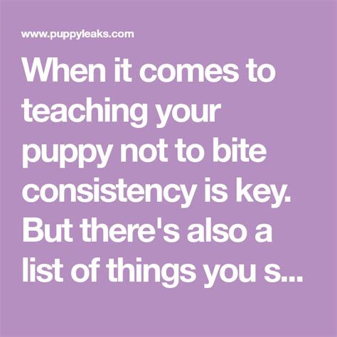 When It Comes To Teaching Your Puppy Not To Bite Consistency Is Key