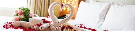Valentines Day Hotels And Packages Wowcher