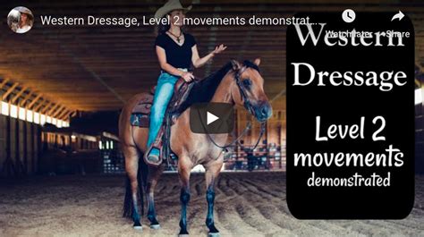 Western Dressage Level 2 Movements Demonstrated Official Site Of
