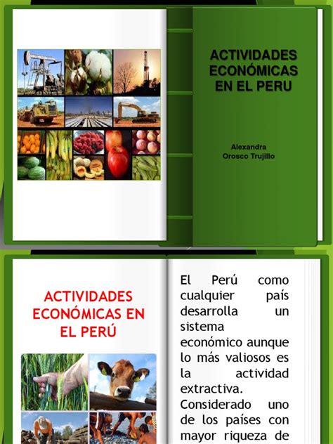 Actividades Economicas En El Peru Pdf Quinua Agricultura