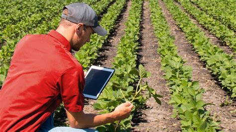 Careers Crop And Soil Sciences Nc State University