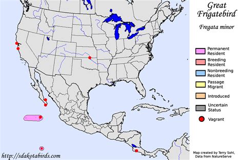 Great Frigatebird Species Range Map