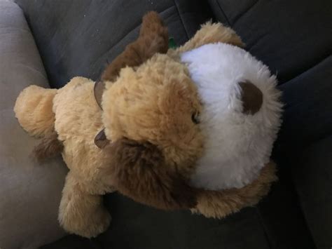 How To Make Your Stuffed Animal Your Best Buddy 8 Steps