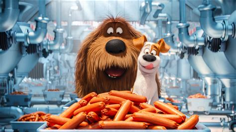The Secrete Life Of Pets Animated Movie Wallpaperhd Movies Wallpapers