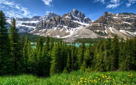 Wallpaper Canada Nature Landscape Mountains Forest Banff Park