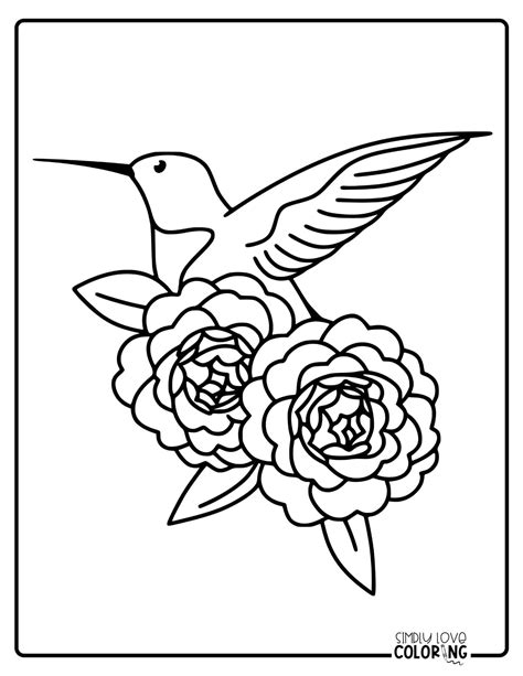 Free Hummingbird Coloring Pages Simply Love Coloring