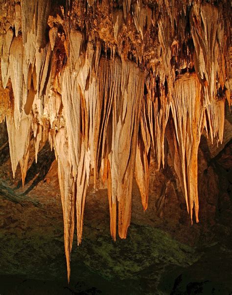Stalactites In Carlsbad Caverns Carlsbad Caverns National Parks
