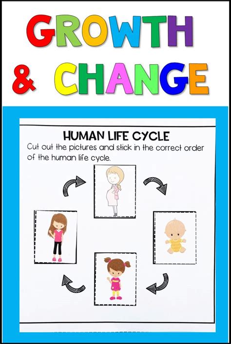 Animals Including Humans Growing And Changing Teaching Resources