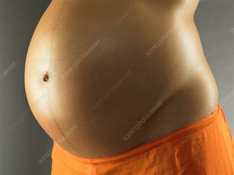 Eight Months Pregnant Woman Stock Image M8050889 Science Photo