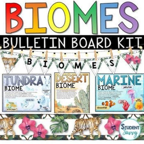 Biomes Bulletin Board Kit Biomes Posters Borders Banners Etsy