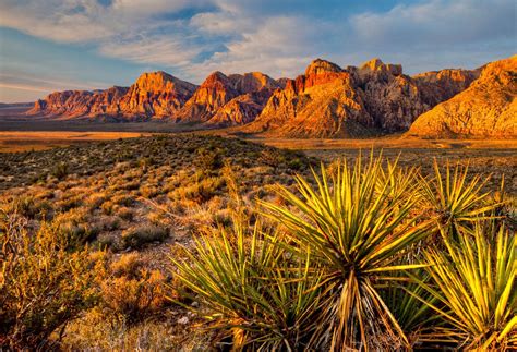 Nevada Desert Landscape Photos Art Floppy