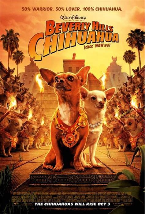 Beverly Hills Chihuahua Animation And Cartoons Wiki Fandom