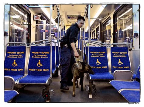 Flickriver Photoset Septa K9 Explosive Detection Dogs By Phillycop