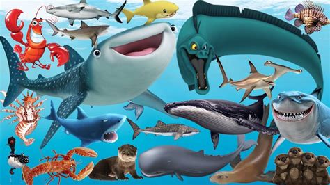 Learning Sea Animals For Kids