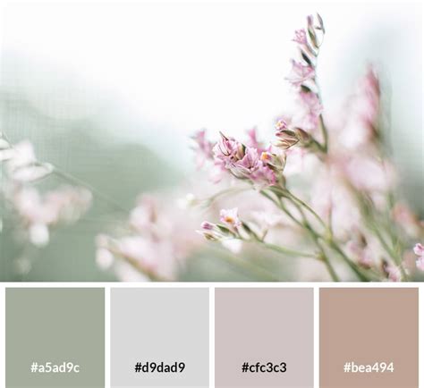 25 Beautiful Pastel Color Palettes With Hex Codes