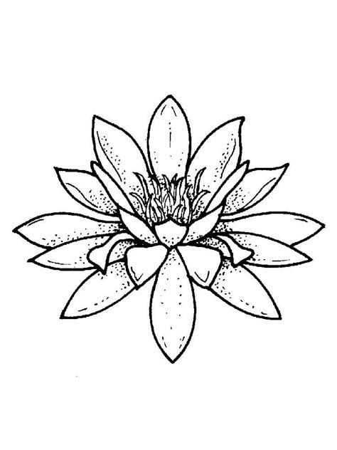 Download for free coloring pages of water #549751, download othes water lily coloring page for free. Water lily coloring pages. Download and print Water lily ...