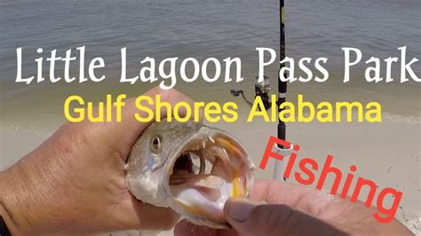 Fishing Little Lagoon Pass Park Gulf Shores Alabama Youtube