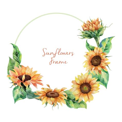 Hand Drawn Watercolor Sunflowers Wreath Premium Vector