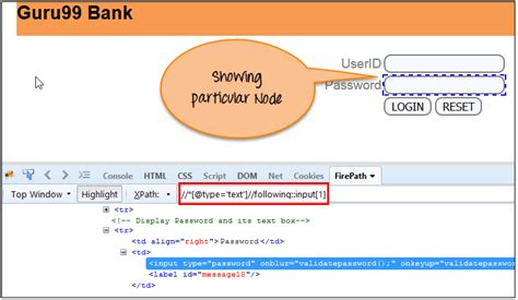 Xpath In Selenium How To Find Write Text Contains And
