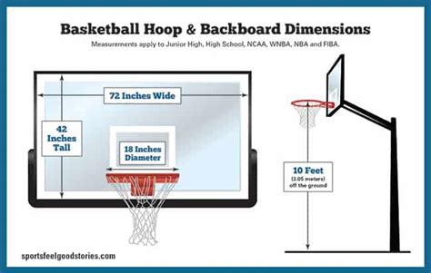 Berechnung Überzeugend Einheit Regulation Basketball Hoop Height Nba