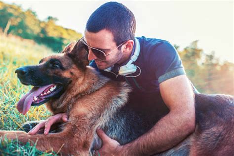 10 Things Only German Shepherd Dog Owners Will Understand