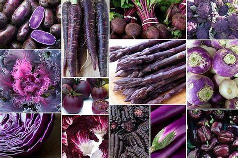Vegetables With Purple Vegetales Colores Púrpura Frutas Y Verduras