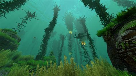 Kelp Forest Subnautica Wiki Fandom Powered By Wikia