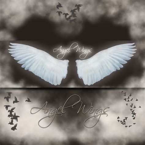 Angel Wings 1 2 By Cocacolagirlie On Deviantart