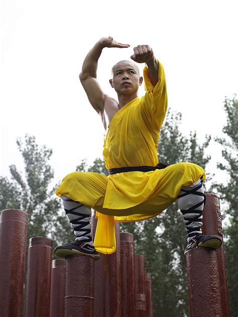 What Is Kung Fu Shifu Yan Lei