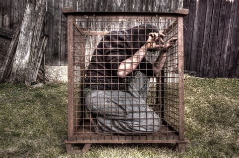 Homme Dans La Cage Image Stock Image Du Grille Phrase
