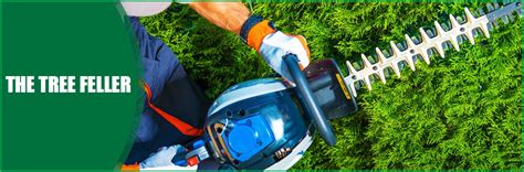 Mobilya mağazası, ev eşyaları mağazası. The Tree Feller is a Tree Company in Cheyenne, WY