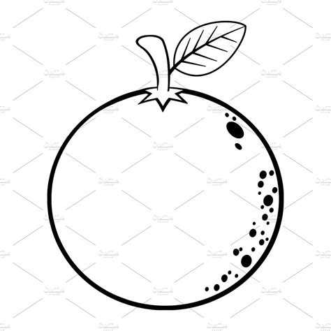 Black And White Orange Fruit Illustrations Creative Market