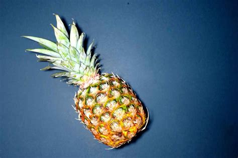 Does Pineapple Eat You Back