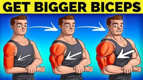 How To Get Bigger Biceps Fast Massive Arms Workout Youtube