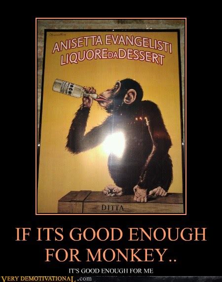 If Its Good Enough For Monkey Very Demotivational Demotivational