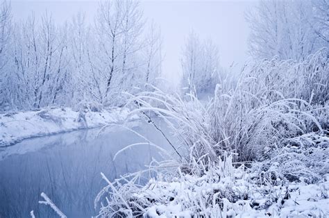 Winter Is A Great Free Stock Photo Public Domain Pictures