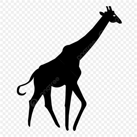 Giraffe Vector Svg