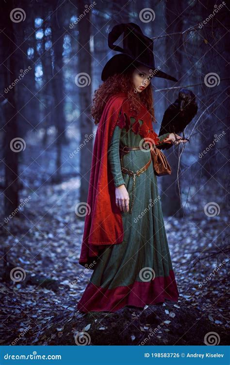 Fairy Tale Witch Stock Photo Image Of Girl Costume 198583726