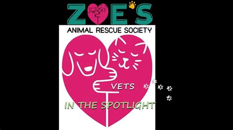 Zoes Animal Rescue Society Vets In The Spotlight Youtube