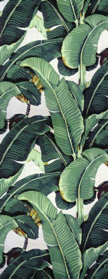 44 Tropical Foliage Wallpapers Wallpapersafari