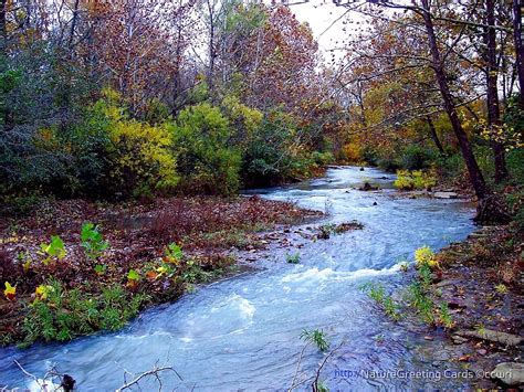 Arkansas Ozark Mountain Stream By Naturegreeting Cards ©ccwri Redbubble