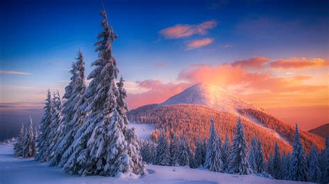 Snow Winter Mountains Sunset Cold Landscape Forest