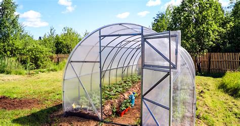 How To Build A Greenhouse Rijals Blog