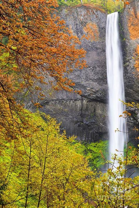 Autumn Waterfall Oregon Autumn Waterfalls Waterfall Art Scenic