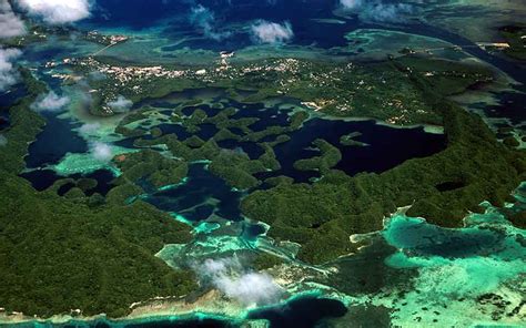 About Palau Coral Reef Research Foundation