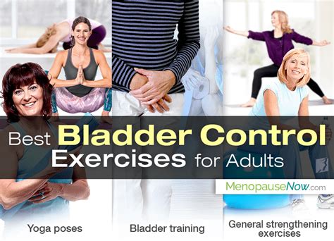 Best Bladder Control Exercises For Adults Menopause Now